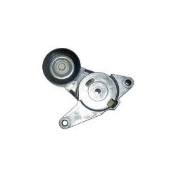 Riemspanner