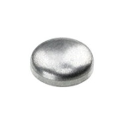 Frost plug