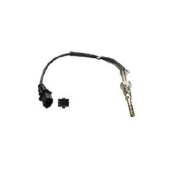 Temperature Sender, Catalytic converter