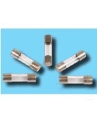 Glass fuses
