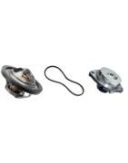 Cooling system SAAB 9-5