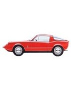 Onderdelen voor de SAAB Sonnet V4